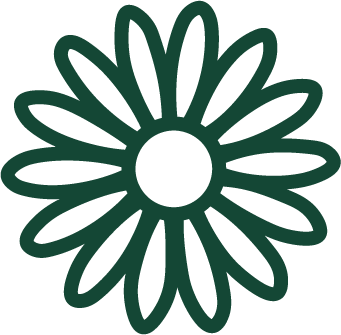 Estratto di camomilla