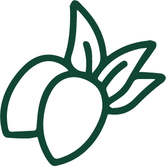 Olio di jojoba