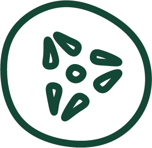 Succo di cetriolo
