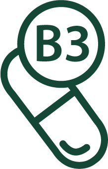 Vitamina B3 (niacinamide)